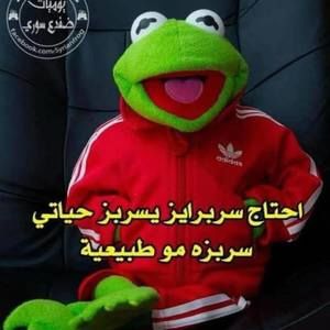 Meet your Posher, Hager